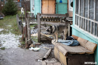 В Туле две пенсионерки живут в разваливающемся бараке, Фото: 4