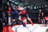 В «Тула-Арене» состоялись областные соревнования по ММА, Фото: 8