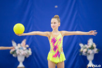 Соревнования по художественной гимнастике на призы благотворительного фонда «Земляки», Фото: 140