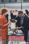 Выставка собак в Туле 26.01, Фото: 53
