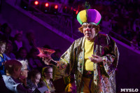 "Тайна пирата" в Тульском цирке, Фото: 91