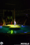Цирк на воде «Остров сокровищ» в Туле: Здесь невозможное становится возможным, Фото: 74