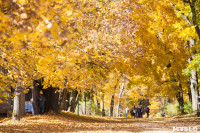 Золотая осень в Ясной Поляне, Фото: 55