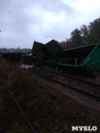 Крушение поезда в Тульской области, Фото: 19