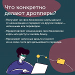 Дропперы МВД, Фото: 5