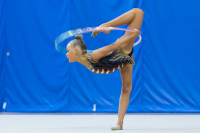Художественная гимнастика, Фото: 65