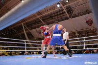 Финал турнира по боксу "Гран-при Тулы", Фото: 235