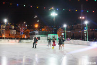 Туляки отметили Старый Новый год ледовым шоу, Фото: 23