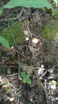 , Фото: 2