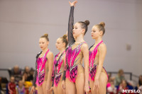 Соревнования по художественной гимнастике на призы благотворительного фонда «Земляки», Фото: 32