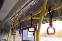 В Туле обновляют общественный транспорт: расскажем всё о новых автобусах, Фото: 12