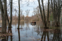 В Туле затопило Баташевский сад, Фото: 19