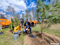 ЕВРАЗ посадил в Пролетарском парке 100 деревьев, Фото: 53