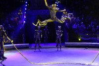 Грандиозное цирковое шоу «Песчаная сказка» впервые в Туле!, Фото: 7