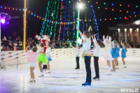 Туляки отметили Старый Новый год ледовым шоу, Фото: 15