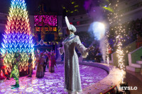 Цирковое шоу Жар птица, Фото: 152