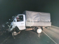 Из-за лисы под Тулой в ДТП грузовик протаранил Huyndai, Фото: 5