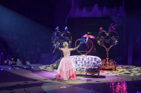 Премьера в Тульском цирке: шоу фонтанов «13 месяцев» удивит вас!, Фото: 12