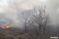 В Мясново загорелось поле, Фото: 8