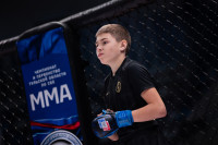 В «Тула-Арене» состоялись областные соревнования по ММА, Фото: 132