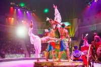 Шоу Гии Эрадзе «5 континентов» в Тульском цирке: феерия уже началась!, Фото: 36