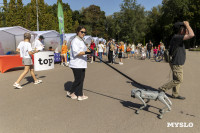 «Школодром-2025», Фото: 337