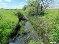 В этом году в Тульской области начали расчистку русел еще трех рек, Фото: 1