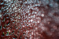 , Фото: 5