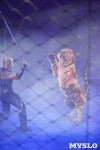 Цирковое шоу, Фото: 99