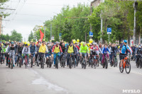 В Туле прошел большой велопарад, Фото: 83
