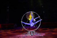 В Туле пройдет Международный детский и молодежный цирковой фестиваль «На языке мира», Фото: 20