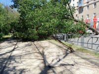 Упавшее дерево перекрыло ул. Болдина, Фото: 9