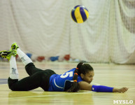 Тульские волейболистки готовятся к сезону., Фото: 38