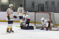 Команда ЕВРАЗ обыграла соперников в отборочном матче Тульской любительской хоккейной Лиги, Фото: 43