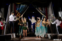 Премьера новогоднего шоу в Тульском цирке, Фото: 47