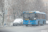 Мартовский снег в Туле, Фото: 41