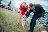 Всероссийская выставка собак в Туле, Фото: 80