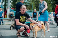 Всероссийская выставка собак в Туле, Фото: 33