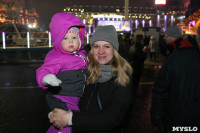 Открытие главной ёлки на площади Ленина, Фото: 64