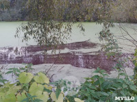 "Кровавая" вода в пруду в Михалково, Фото: 3
