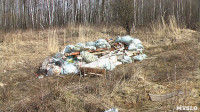 Поселок Славный в Тульской области зарастает мусором, Фото: 8