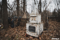 Кладбища Алексина зарастают мусором и деревьями, Фото: 4