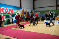 В Туле прошла выставка собак всех пород, Фото: 19