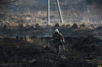 Сразу в нескольких районах Тульской области загорелись поля, Фото: 1
