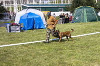 В Туле прошла выставка собак всех пород: фоторепортаж, Фото: 19