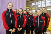 Всероссийский турнир по художественной гимнастике, Фото: 2