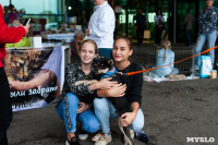 Благотворительный фестиваль помощи животным, Фото: 10