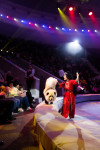 Успейте посмотреть шоу «Новогодние приключения домовенка Кузи» в Тульском цирке, Фото: 106