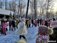 Открытие ёлки в Комсомольском парке, Фото: 5