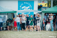 Всероссийская выставка собак в Туле, Фото: 19